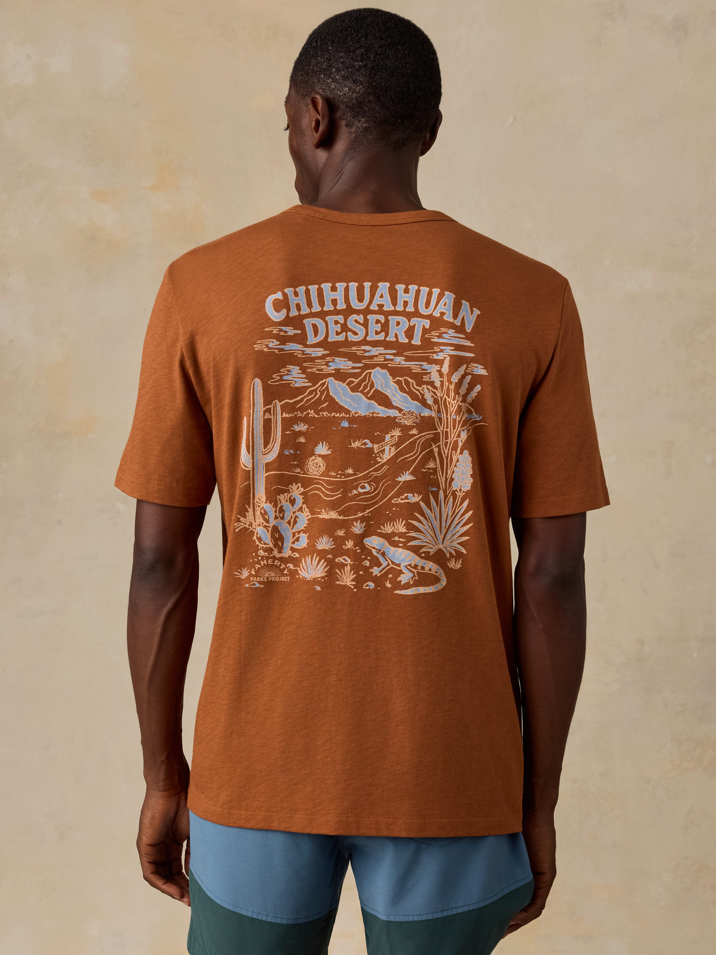 A man viewed from behind wearing a rust-orange t-shirt with a large desert-themed graphic print on the back that reads 'CHIHUAHUAN DESERT' above cacti, mountains, and a snake. He is wearing blue and green color-blocked shorts against a textured beige background.