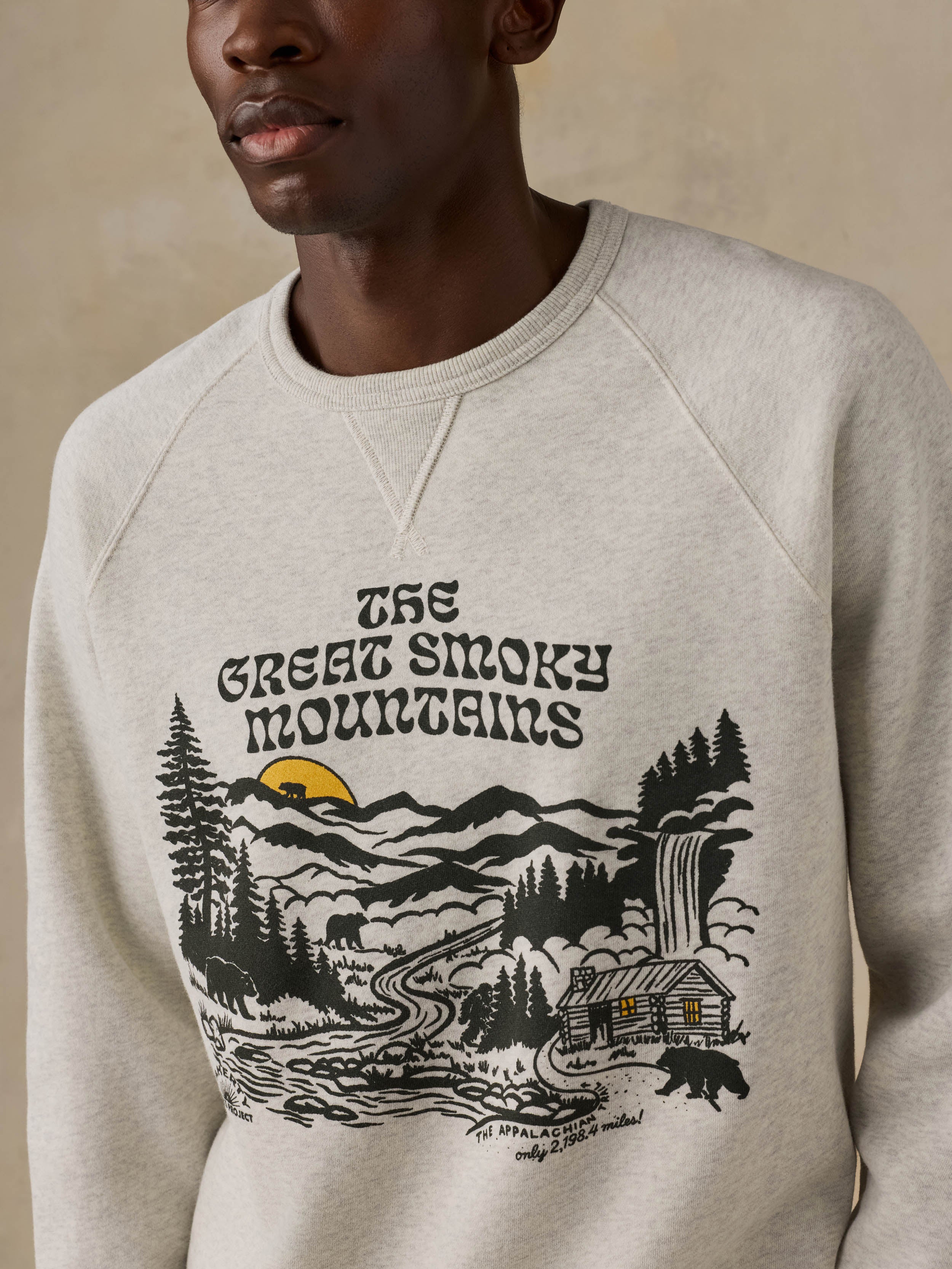 Man wearing a gray sweatshirt with a nature graphic and text on a beige background